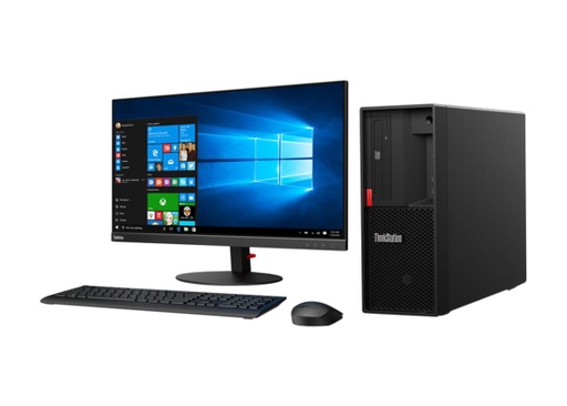 [30BE00CCUS] Workstation TS P520 W2235 W10WS